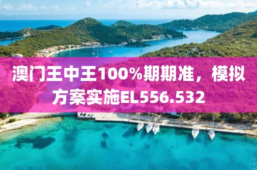 澳門(mén)王中王100%期期準(zhǔn)，模擬方案實(shí)施EL556.532