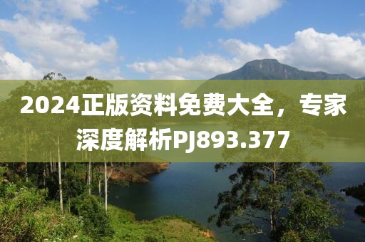 2024正版資料免費(fèi)大全，專家深度解析PJ893.377