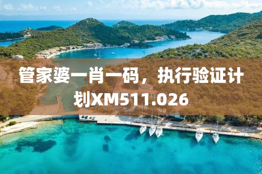 管家婆一肖一碼，執(zhí)行驗(yàn)證計(jì)劃XM511.026