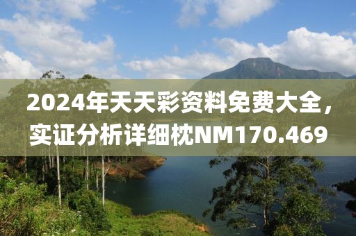 2024年天天彩資料免費大全，實證分析詳細枕NM170.469