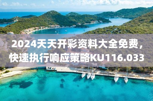 2024天天開彩資料大全免費(fèi)，快速執(zhí)行響應(yīng)策略KU116.033