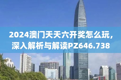 2024澳門天天六開獎怎么玩，深入解析與解讀PZ646.738