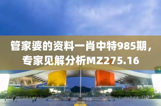 管家婆的資料一肖中特985期，專家見解分析MZ275.16