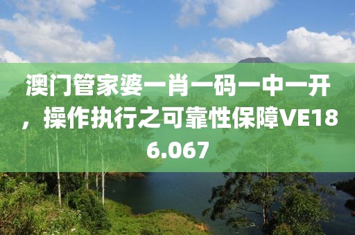 澳門管家婆一肖一碼一中一開，操作執(zhí)行之可靠性保障VE186.067