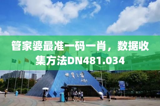 管家婆最準(zhǔn)一碼一肖，數(shù)據(jù)收集方法DN481.034