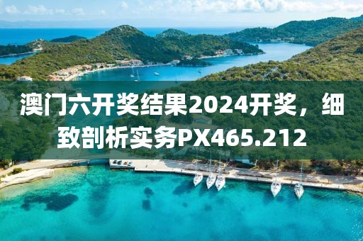 澳門(mén)六開(kāi)獎(jiǎng)結(jié)果2024開(kāi)獎(jiǎng)，細(xì)致剖析實(shí)務(wù)PX465.212