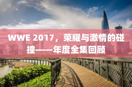 WWE 2017，榮耀與激情的碰撞——年度全集回顧