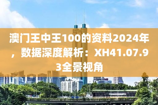 澳門王中王100的資料2024年，數(shù)據(jù)深度解析：XH41.07.93全景視角