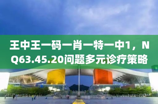 王中王一碼一肖一特一中1，NQ63.45.20問題多元診療策略