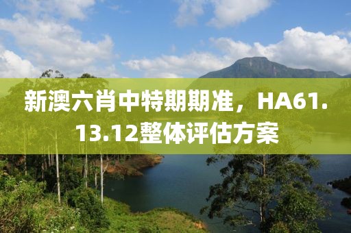 新澳六肖中特期期準(zhǔn)，HA61.13.12整體評估方案