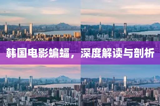 韓國電影蝙蝠，深度解讀與剖析