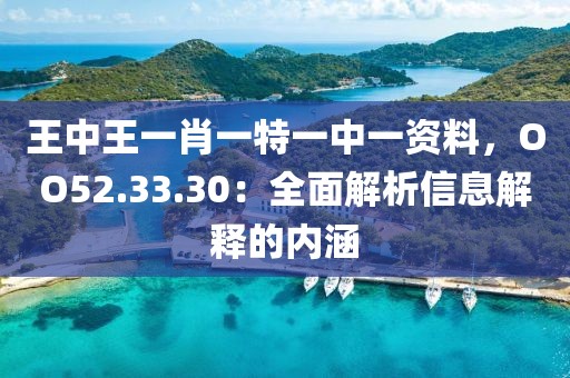 王中王一肖一特一中一資料，OO52.33.30：全面解析信息解釋的內(nèi)涵
