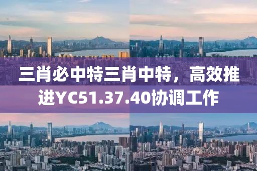 三肖必中特三肖中特，高效推進(jìn)YC51.37.40協(xié)調(diào)工作