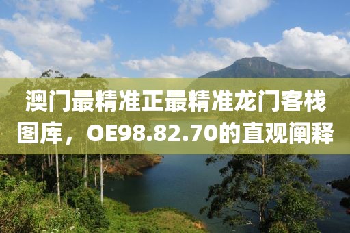 澳門最精準(zhǔn)正最精準(zhǔn)龍門客棧圖庫(kù)，OE98.82.70的直觀闡釋