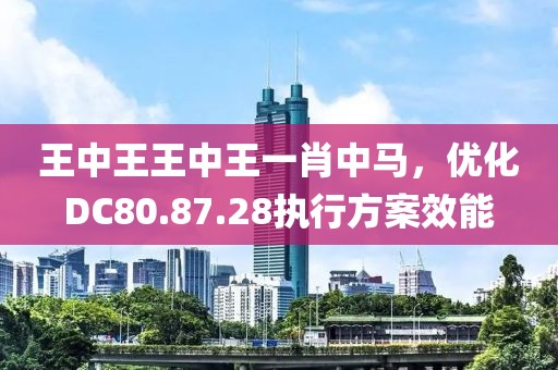 王中王王中王一肖中馬，優(yōu)化DC80.87.28執(zhí)行方案效能