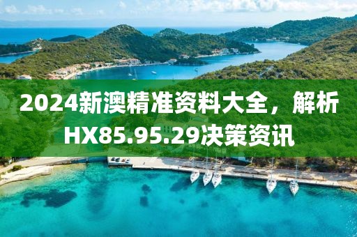 2024新澳精準(zhǔn)資料大全，解析HX85.95.29決策資訊
