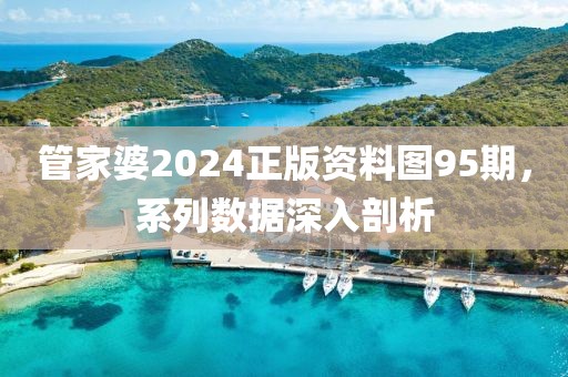 管家婆2024正版資料圖95期，系列數(shù)據(jù)深入剖析
