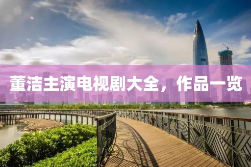 董潔主演電視劇大全，作品一覽