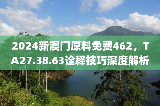 2024新澳門原料免費(fèi)462，TA27.38.63詮釋技巧深度解析
