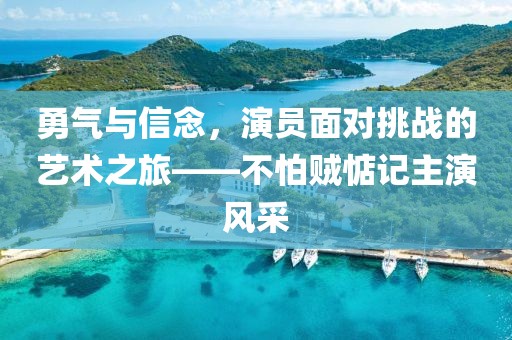 勇氣與信念，演員面對(duì)挑戰(zhàn)的藝術(shù)之旅——不怕賊惦記主演風(fēng)采
