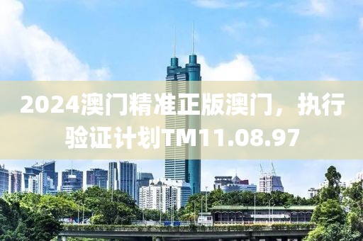 2024澳門精準(zhǔn)正版澳門，執(zhí)行驗(yàn)證計(jì)劃TM11.08.97