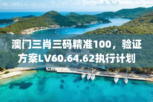 澳門三肖三碼精準(zhǔn)100，驗(yàn)證方案LV60.64.62執(zhí)行計(jì)劃