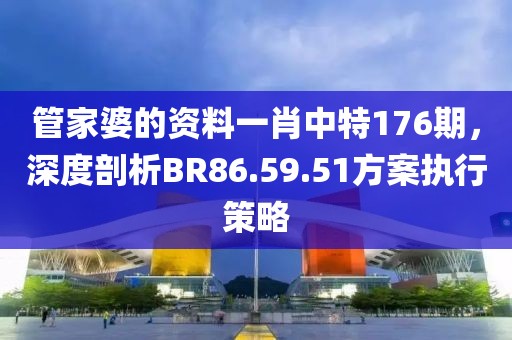 管家婆的資料一肖中特176期，深度剖析BR86.59.51方案執(zhí)行策略