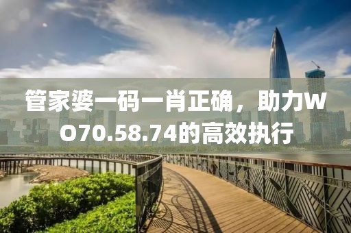 管家婆一碼一肖正確，助力WO70.58.74的高效執(zhí)行