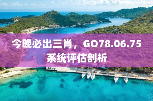 今晚必出三肖，GO78.06.75系統(tǒng)評(píng)估剖析