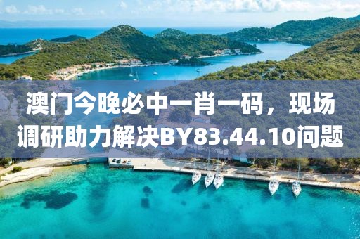 澳門今晚必中一肖一碼，現(xiàn)場調(diào)研助力解決BY83.44.10問題