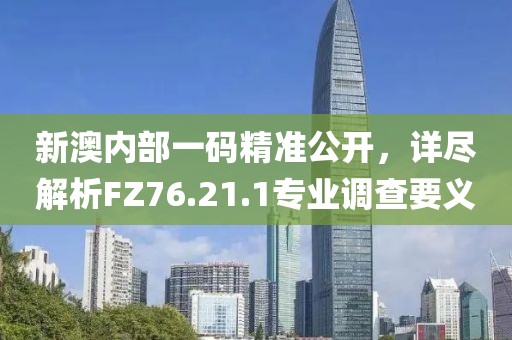 新澳內(nèi)部一碼精準公開，詳盡解析FZ76.21.1專業(yè)調(diào)查要義