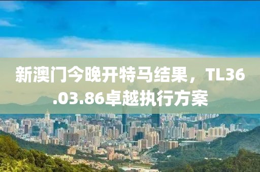 新澳門今晚開特馬結(jié)果，TL36.03.86卓越執(zhí)行方案