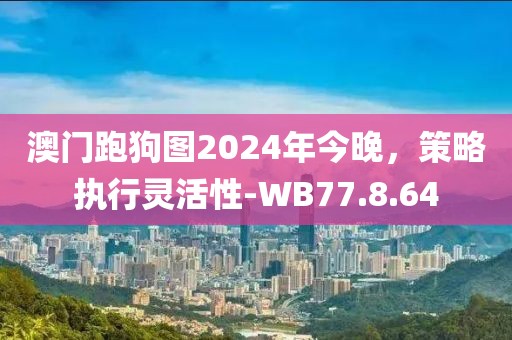 澳門跑狗圖2024年今晚，策略執(zhí)行靈活性-WB77.8.64
