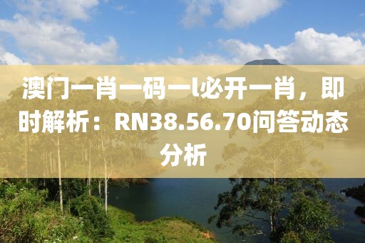 澳門一肖一碼一l必開一肖，即時解析：RN38.56.70問答動態(tài)分析