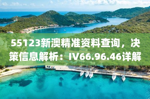 55123新澳精準(zhǔn)資料查詢，決策信息解析：IV66.96.46詳解