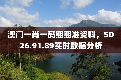 澳門一肖一碼期期準資料，SD26.91.89實時數據分析