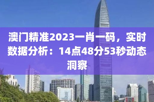 澳門(mén)精準(zhǔn)2023一肖一碼，實(shí)時(shí)數(shù)據(jù)分析：14點(diǎn)48分53秒動(dòng)態(tài)洞察
