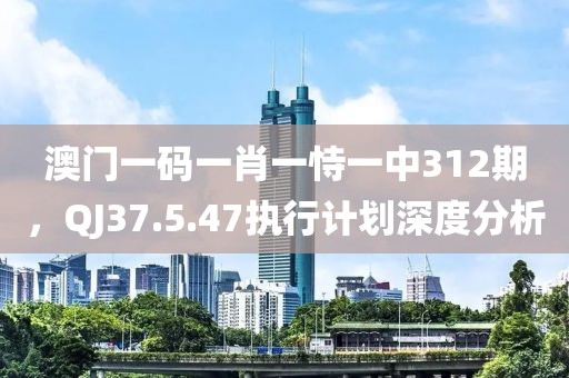 澳門一碼一肖一恃一中312期，QJ37.5.47執(zhí)行計(jì)劃深度分析