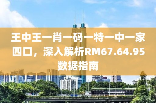 王中王一肖一碼一特一中一家四口，深入解析RM67.64.95數(shù)據(jù)指南
