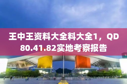王中王資料大全料大全1，QD80.41.82實(shí)地考察報(bào)告