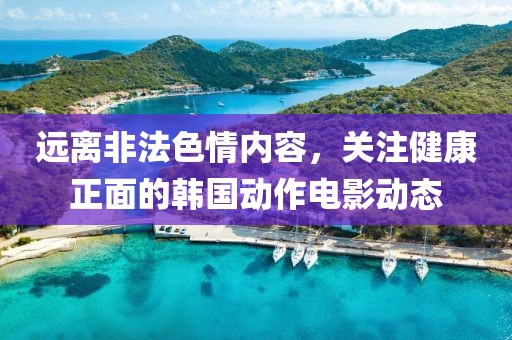 遠(yuǎn)離非法色情內(nèi)容，關(guān)注健康正面的韓國動(dòng)作電影動(dòng)態(tài)