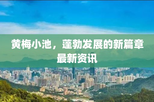 黃梅小池，蓬勃發(fā)展的新篇章最新資訊