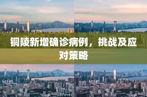 銅陵新增確診病例，挑戰(zhàn)及應(yīng)對策略