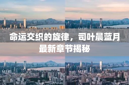 命運交織的旋律，司葉晨藍月最新章節(jié)揭秘