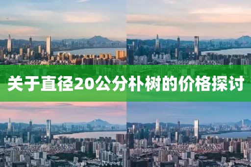 攜君以終年 第21頁