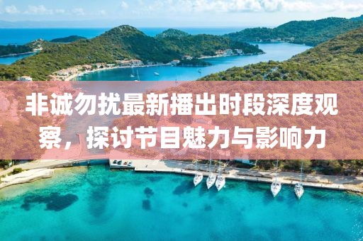 非誠勿擾最新播出時段深度觀察，探討節(jié)目魅力與影響力