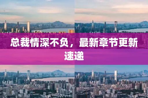 總裁情深不負(fù)，最新章節(jié)更新速遞