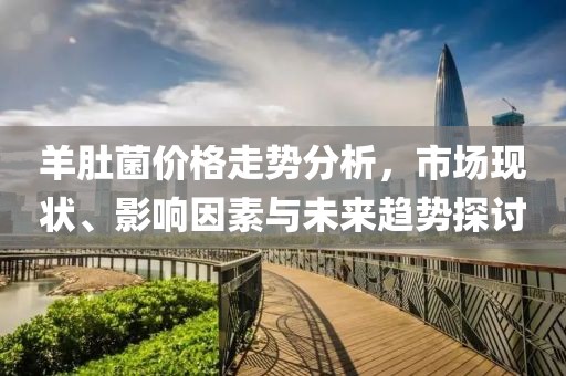 羊肚菌價(jià)格走勢(shì)分析，市場(chǎng)現(xiàn)狀、影響因素與未來(lái)趨勢(shì)探討