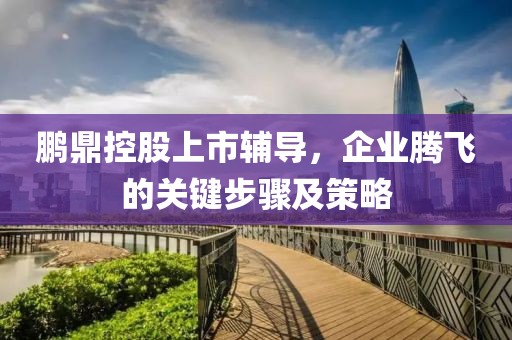 鵬鼎控股上市輔導(dǎo)，企業(yè)騰飛的關(guān)鍵步驟及策略