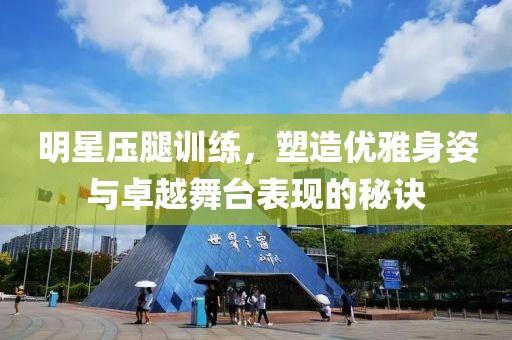 而不世故 第21頁(yè)